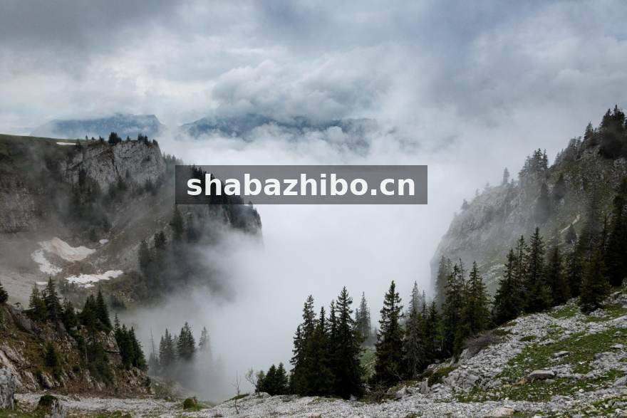 沙巴直播发展历程数据机房与团队协作场景
